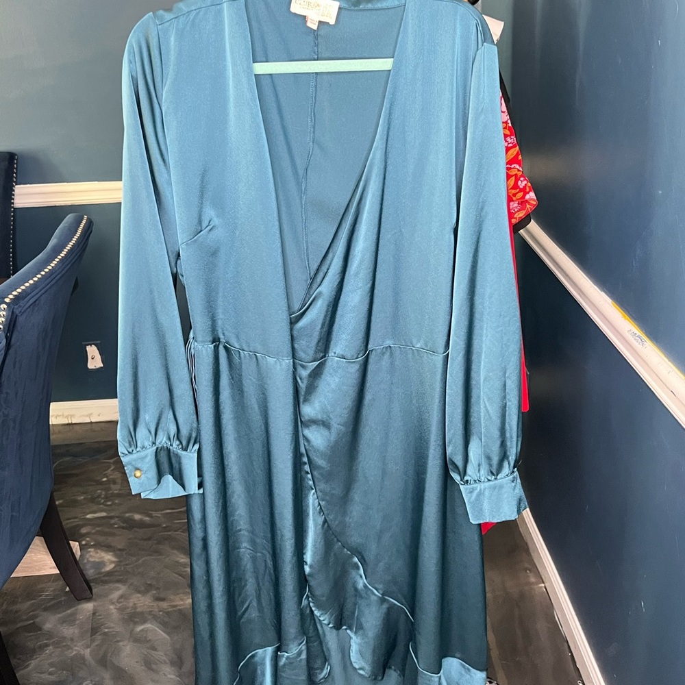 Silk Dress Plus size